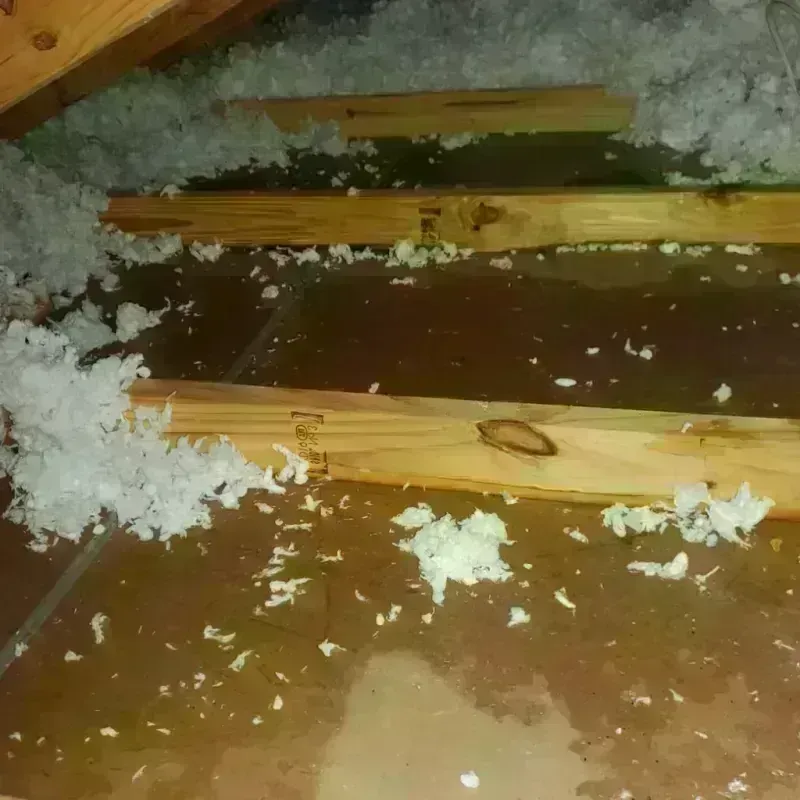 Attic Water Damage in Toa Baja, PR